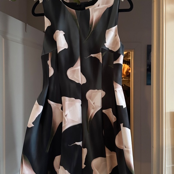 Calvin Klein Fit and Flare Dress - Picture 3 of 6